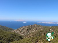 ������� �������� "��������� ������" �����������