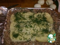 ����� �� ��������� ����� �����������