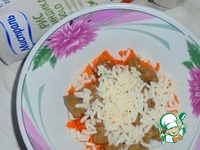 ���������-������� ������ �����������