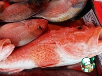 ���� ��� ��������� "�������� ������" �����������