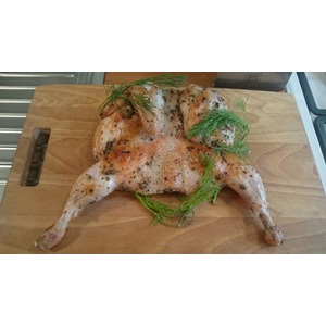 �������� ��������