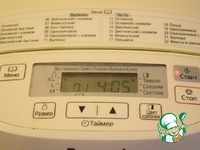 ���� �������-�������� �����������