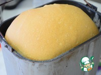 ���� �������-�������� �����������