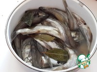 ����� �� ����� � �������� ����� �����������