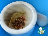 ������ "�����-������" �����������