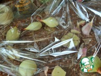 ������ "�����-������" �����������