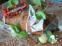 ������ "�����-������" �����������