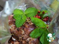 ������ "�����-������" �����������