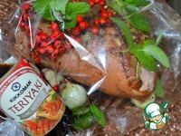 ������ "�����-������" �����������