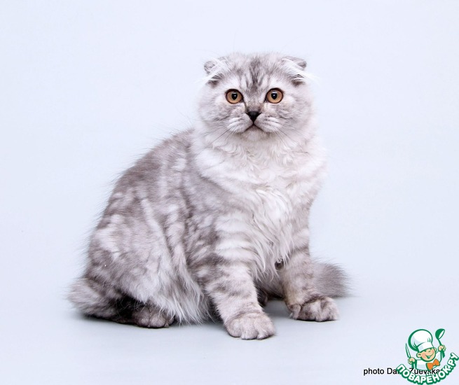 ������� � ����