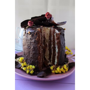 ���������� ����-�����