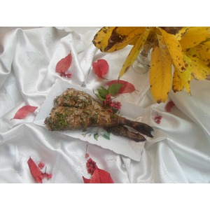 ������ "������ ����� ��� �� �����"