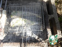 ������ "������ ����� ��� �� �����" �����������