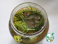 ������������ ������� ������� �����������