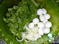 ����� "��������" �����������