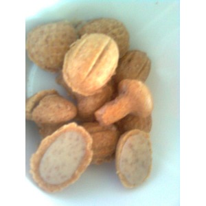 �������� ���� ��� �������