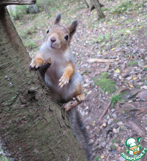 ������� �������� � ����������