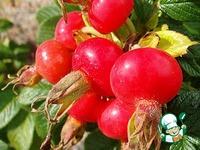 ���� �� �����, ����� � ��������� �����������