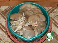 ������� ��������� "������������" �����������