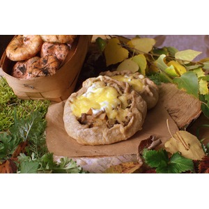 ������ ������ � �������