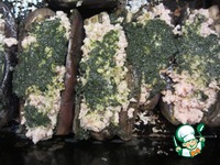 ������������� ���������, ���������� ��� ������ �����������