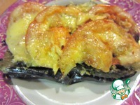 ������������� ���������, ���������� ��� ������ �����������