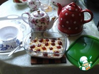 ��������-�������� ��������� �����������