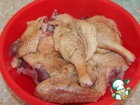 ���� � �������-������������ �������� �����������