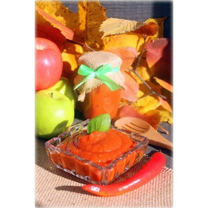 ������ ������ � ����������