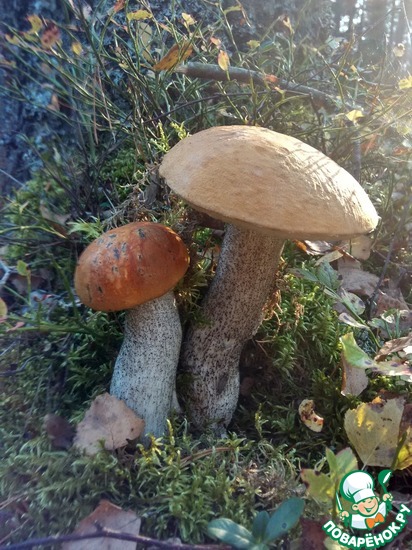 ���� ������-2