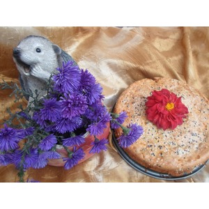 ����� �������� "������ �������"