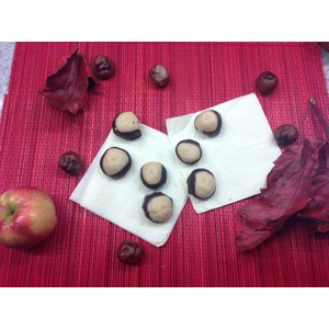 ������� "�������"