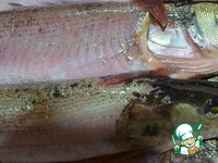 ������������ ���� � ������� �����������