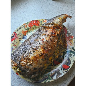 ������� �������������