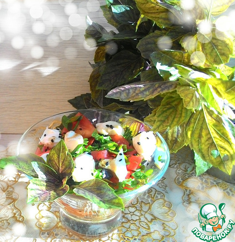 ��������� ���� ����