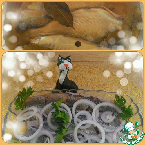 ������ ������ ��������� ������