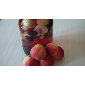 �������� ������ �� ���������� �� ����