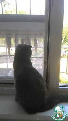 ����� ������...