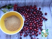 ������� ������ �����������