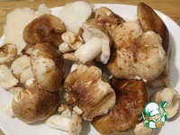 ����� ������� "����� � �����" �����������