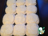 ������ ������������ �����������