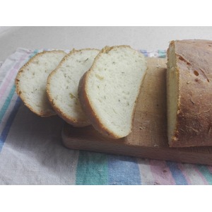 ���� �����������������