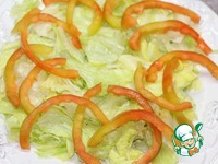 ����� "��������" � ����������� �������� �����������