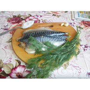 �������� "����"