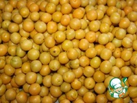 ������ �� ����� �����������