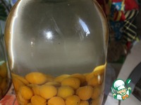 ������ �� ����� �����������