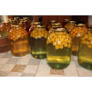 ������ �� �����