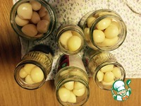 ������������ ������ �����������