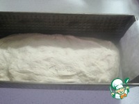 ���� �� ��������� ������ �����������