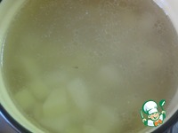 �����������-��������� ��� � ������ �����������